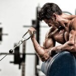 Programme de musculation