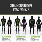 Guide de la prise de masse musculaire