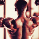 Programme musculation