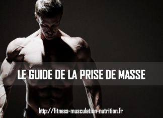 Le guide de la prise de masse