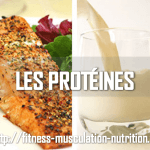 LES PROTEINES