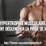 hypertrophie musculaire