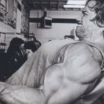 programme de musculation bras
