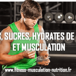 glucides, sucre, hydrates de carbone et musculation