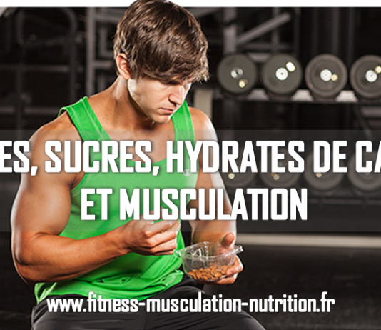 Glucides, sucres, hydrates de carbone et musculation glucides